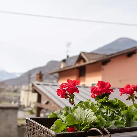 度假居 Petite Maison Tillier